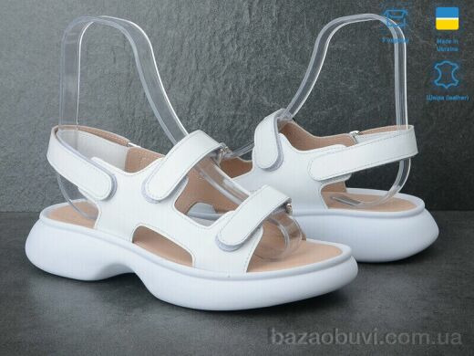 Ailinda 876-8, 590.00, 6, 36-40