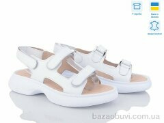 Ailinda 876-8, 590.00, 6, 36-40