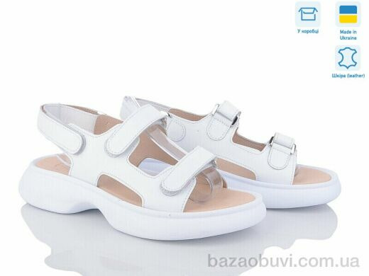 Ailinda 876-8, 590.00, 6, 36-40