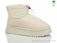 Swin 2509-3, 440.00, 10, 36-41