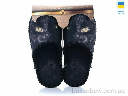 Active 542, 280.00, 10, 36-41