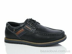Laguna C6773, 130.00, 8, 31-36