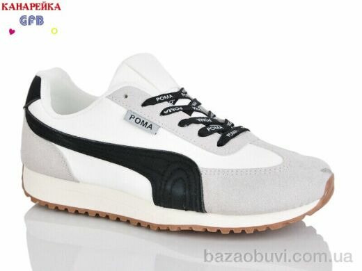 GFB-Канарейка Q540-2, 800.00, 8, 36-41