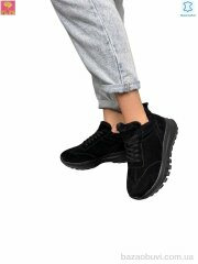 PLPS S651-2, 27.00, 6, 36-40