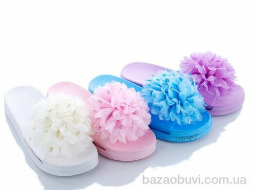 Lion 579-7 mix, 85.00, 24, 37-41