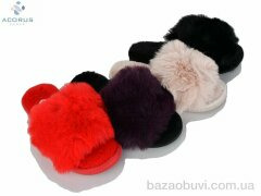 Acorus B2 mix, 210.00, 12, 36-41