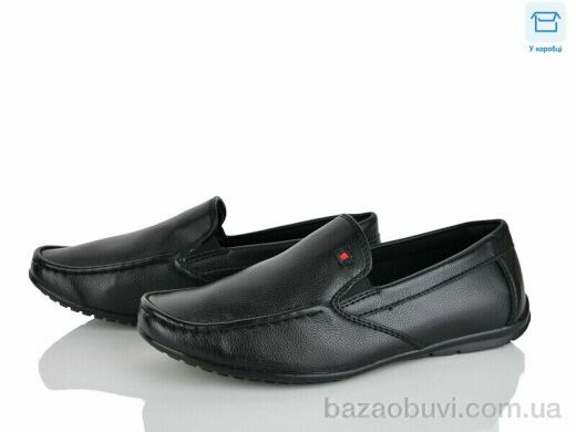 Nasite Z121-3C, 340.00, 8, 31-36