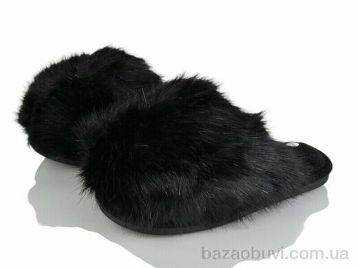 Moli GP15C, 260.00, 6, 36-41