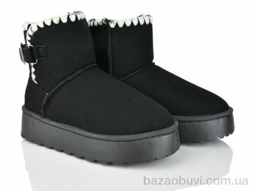 Xifa F569-2, 485.00, 10, 36-41