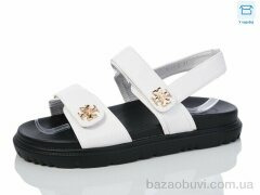 Hongquan B11-2, 660.00, 8, 36-41