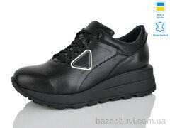 Carolina 2019-1, 550.00, 6, 36-40