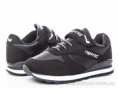 DeMur N202-89, 245.00, 8, 31-35