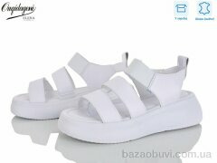 Dageni F233-2, 700.00, 8, 36-41