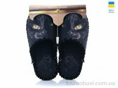 Active 542, 270.00, 10, 36-41