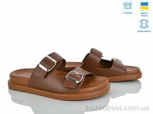 Ailinda 307-43, 850.00, 6, 36-40