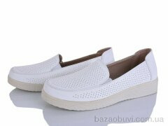 Lion-Lu 2024-28, 350.00, 8, 36-41