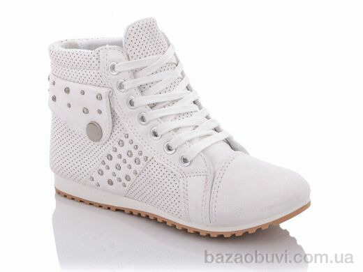 Lion C066W, 80.00, 12, 30-35