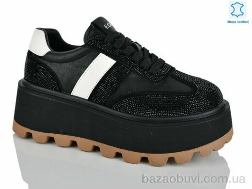 Teetspace-Trasta-Egga WDP1853-1, 30.00, 6, 36-41