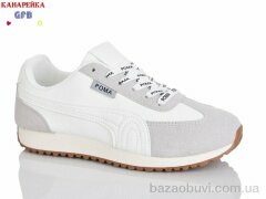 GFB-Канарейка Q540-3, 800.00, 8, 36-41