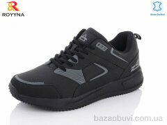 ROYYNA 047DB-43, 22.00, 8, 41-46