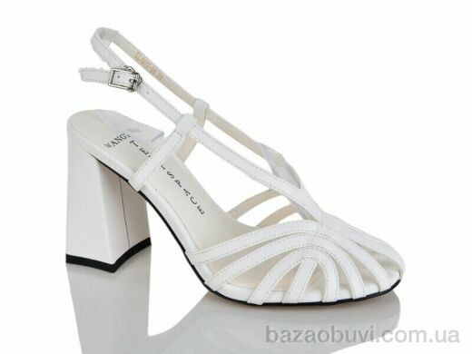 Teetspace-Trasta-Egga LL1977-26, 26.00, 6, 36-40