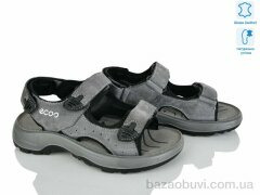 KIMBOO T61-3D, 620.00, 8, 32-37