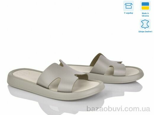 Ailinda 342-26, 590.00, 6, 36-40