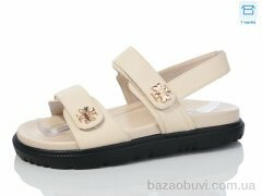 Hongquan B11-3, 660.00, 8, 36-41