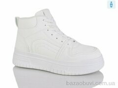 L.B. L1053-1, 500.00, 8, 36-41