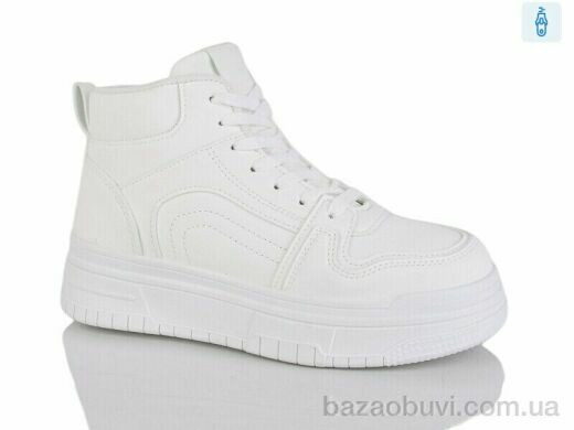 L.B. L1053-1, 500.00, 8, 36-41