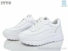 ITTS MT50-2, 20.00, 6, 36-41