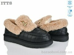 ITTS 336-1, 23.00, 6, 36-41