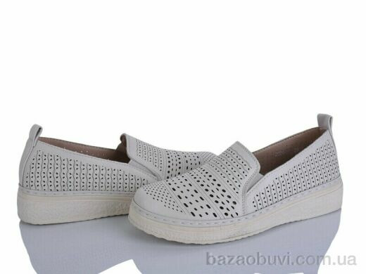 Lion-Lu 2024-29, 350.00, 8, 36-41