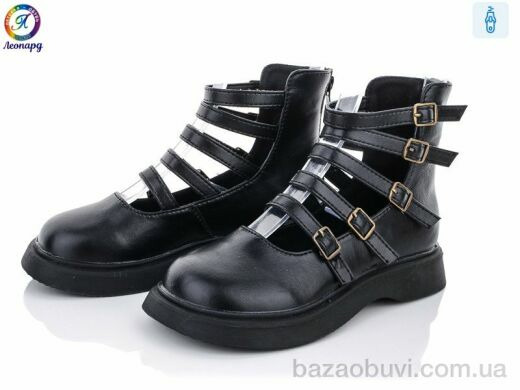 Леопард BB06-1, 165.00, 12, 31-36