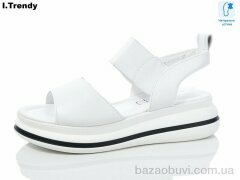 Trendy WL1020-1, 500.00, 8, 36-41