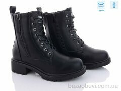 Hongquan 91-5, 650.00, 6, 36-41