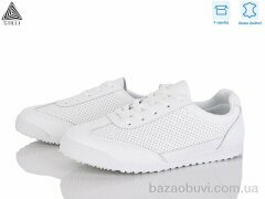 STILLI Group ZH70-1 шкіра, 420.00, 8, 36-41