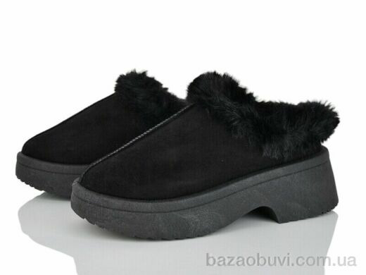Moli L81-1, 480.00, 8, 36-41