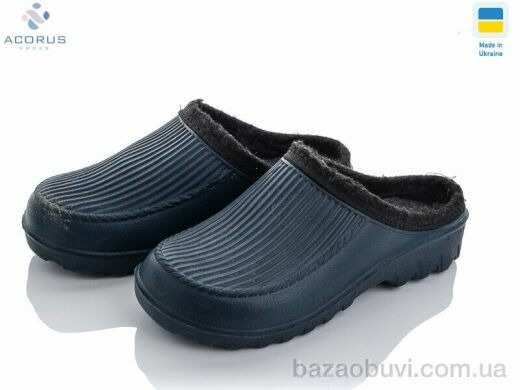 Acorus C40, 155.00, 12, 41-45