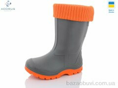 Acorus Асоль сірий, 340.00, 6, 25-35