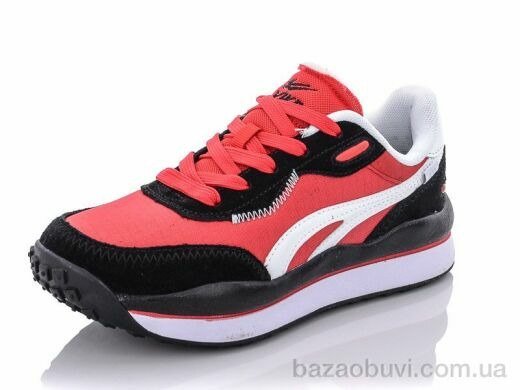 Pet B038-6, 14.00, 8, 36-41