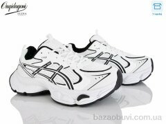 Dageni MN256-2, 17.00, 8, 37-41