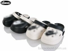 Wei Wei-Class 221-1-2 mix, 300.00, 12, 24-29