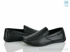 Nasite Z121-5C, 340.00, 8, 31-36