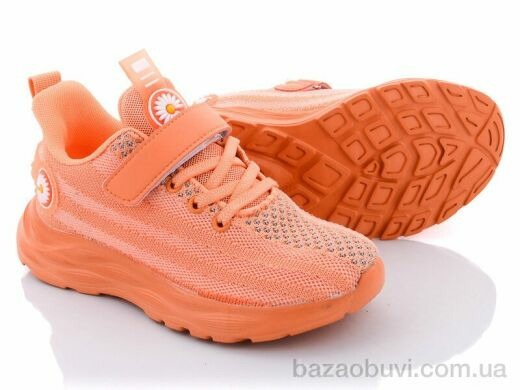 Violeta D-503 orange, 340.00, 6, 32-37