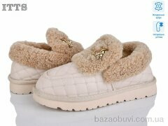 ITTS 336-2, 23.00, 6, 36-41