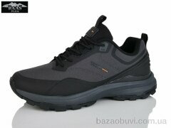 Baas L1891-2, 21.00, 8, 36-41