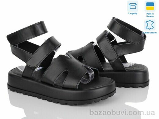 Ailinda 316-2, 490.00, 6, 36-40