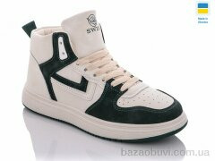 Swin 1609-3, 290.00, 8, 36-41