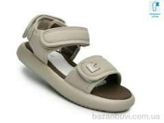 TOM.M B60091C, 585.00, 8, 33-38